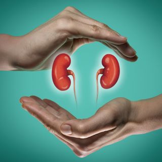 Rendimiento y salud renal equilibrados